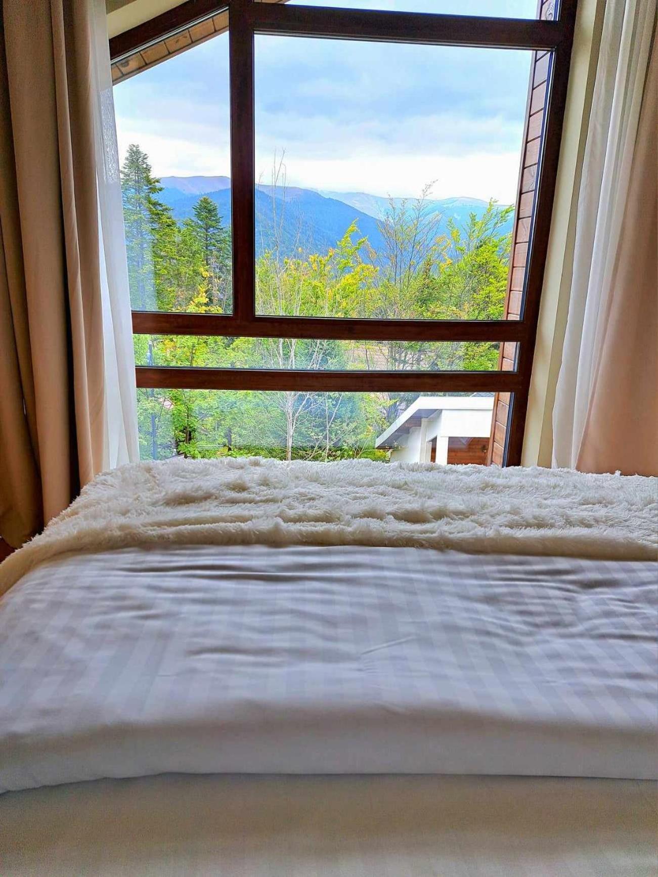 Apartmán The Rock Sinaia Exteriér fotografie